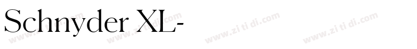 Schnyder XL字体转换